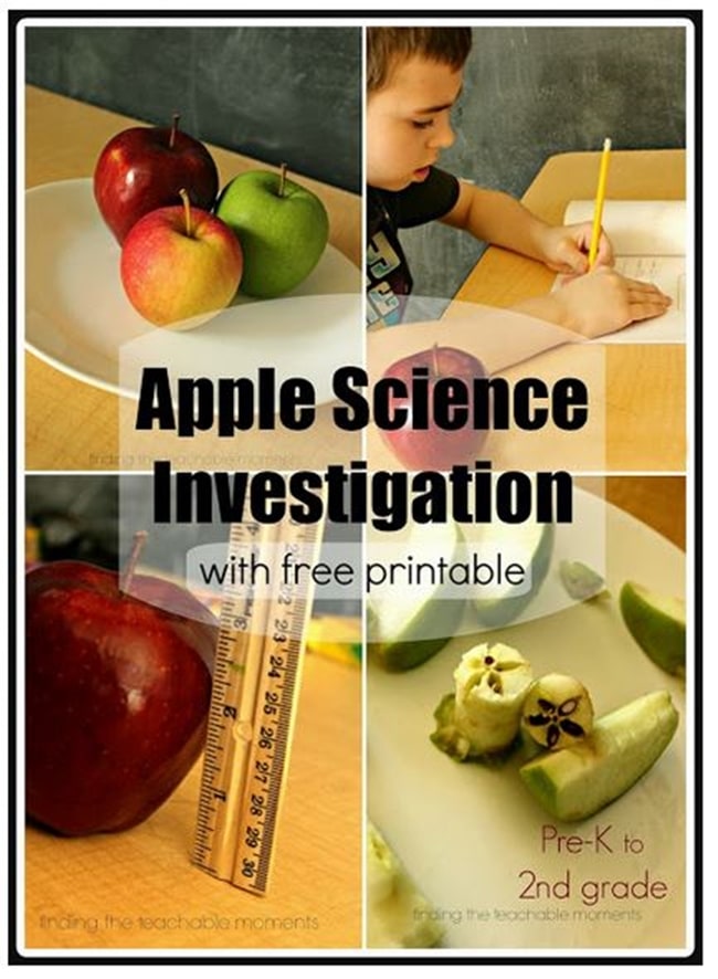 Free Apple Science Commentary Worksheets